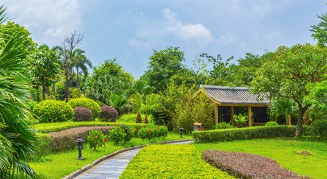 草坪機 手推式割草機連桿斷裂或抱死草的真相